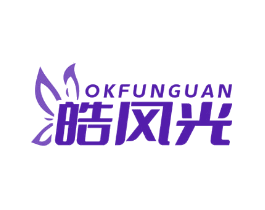 皓风光 OKFUNGUAN