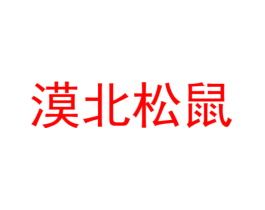 漠北松鼠