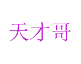 天才哥