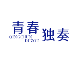 青春独奏