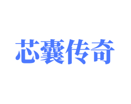 芯囊传奇