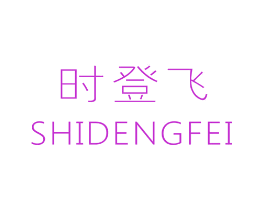 时登飞