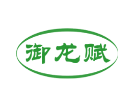 御龙赋