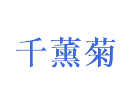 千薰菊