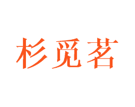 杉觅茗