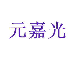 元嘉光