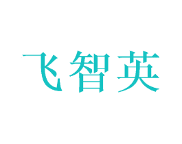 飞智英