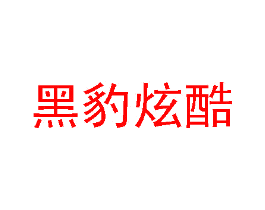 黑豹炫酷