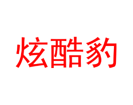 炫酷豹