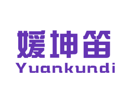 媛坤笛