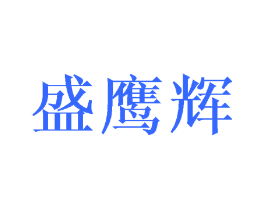 盛鹰辉