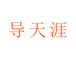 导天涯