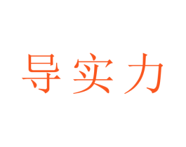 导实力