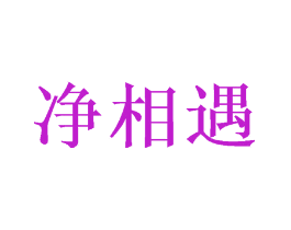 净相遇