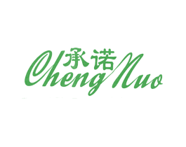 承诺