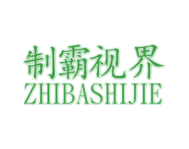 制霸视界