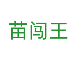 苗闯王