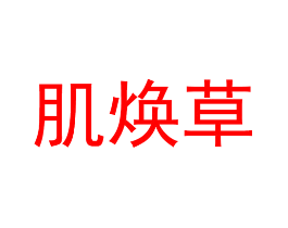肌焕草