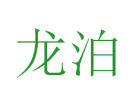龙泊