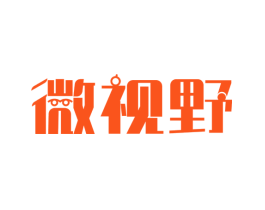 微视野