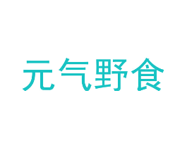 元气野食