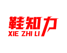 鞋知力