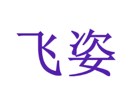 飞姿