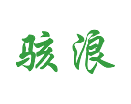 骇浪