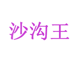沙沟王