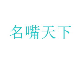 名嘴天下
