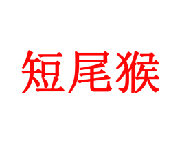 短尾猴