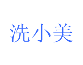 洗小美