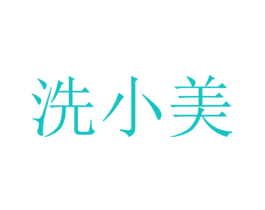 洗小美