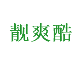 靓爽酷