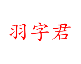 羽字君