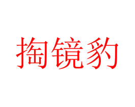 掏镜豹
