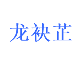 龙袂芷
