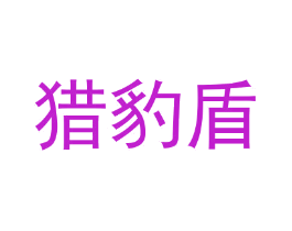 猎豹盾