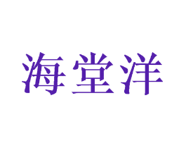 海堂洋