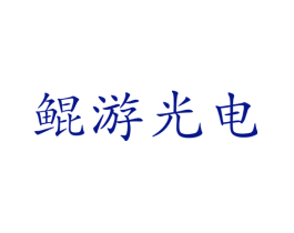 鲲游光电