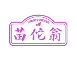 苗佗翁