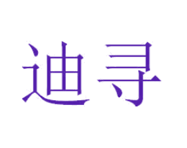迪寻