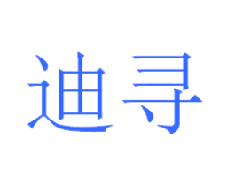 迪寻