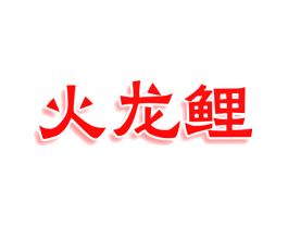 火龙鲤