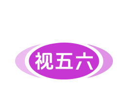 视五六