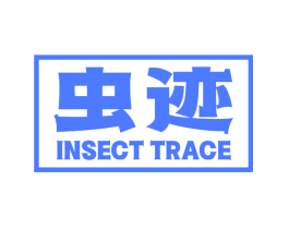 虫迹  INSECT TRACE